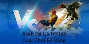 Bật Mí Cách Chơi Đá Gà WS168 Tại W88 Chắc Thắng Từ Chuyên Gia