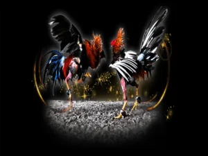 Cách Chơi Đá Gà Sabong Tại W88 Từ A Đến Z Cho Người Mới