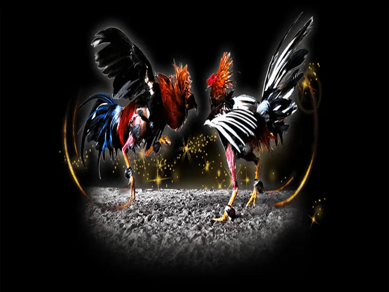 Cách Chơi Đá Gà Sabong Tại W88 Từ A Đến Z Cho Người Mới 1 Cách Chơi Đá Gà Sabong Tại W88 Từ A Đến Z Cho Người Mới