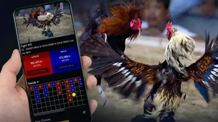 Đá Gà W88 Khám Phá Sảnh Cược Đỉnh Cao Rinh Thưởng Lớn Ngay