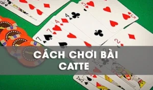 Chinh Phục Sắc Tê W88 Bí Kíp Từ Cao Thủ Giúp Bạn Thắng Lớn